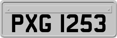 PXG1253