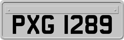 PXG1289