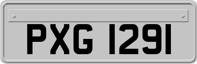 PXG1291