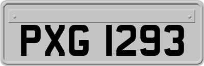 PXG1293