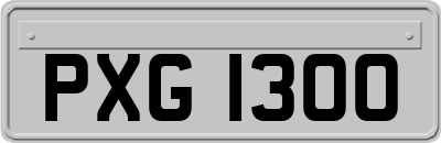 PXG1300