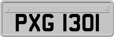 PXG1301