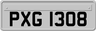 PXG1308