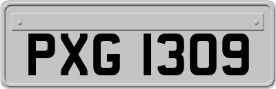 PXG1309