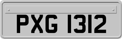 PXG1312