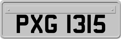 PXG1315