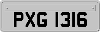 PXG1316