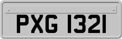 PXG1321