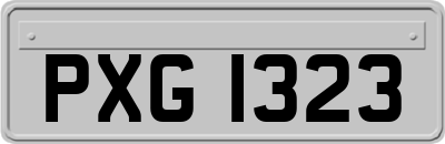 PXG1323