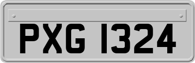 PXG1324