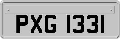 PXG1331