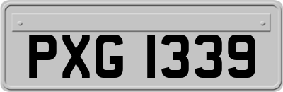 PXG1339