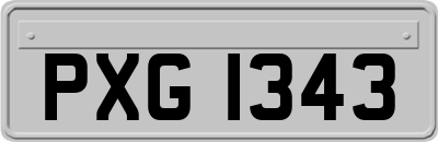 PXG1343