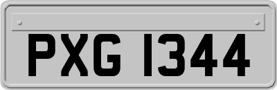 PXG1344