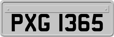 PXG1365