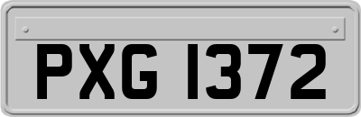 PXG1372