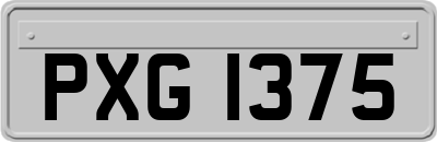 PXG1375