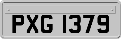 PXG1379