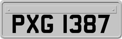 PXG1387