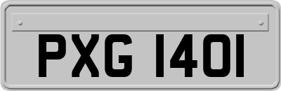 PXG1401