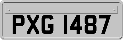 PXG1487