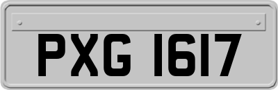 PXG1617