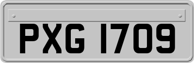 PXG1709