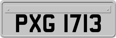 PXG1713