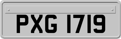 PXG1719