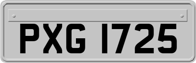 PXG1725