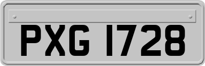 PXG1728