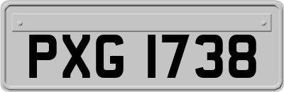 PXG1738