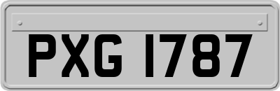 PXG1787