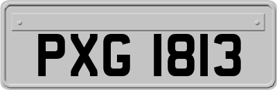 PXG1813