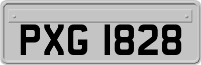 PXG1828