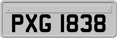 PXG1838