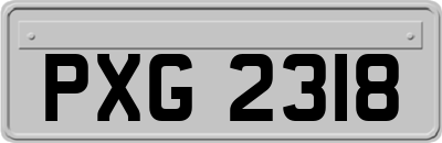 PXG2318