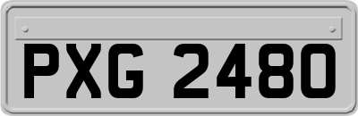 PXG2480