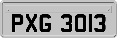 PXG3013