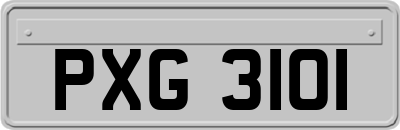 PXG3101