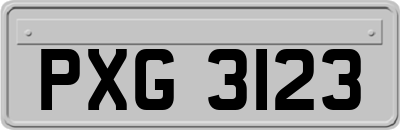 PXG3123