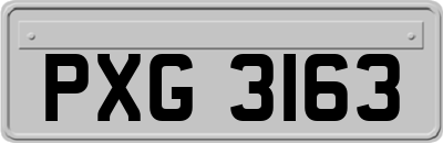 PXG3163