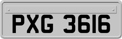 PXG3616