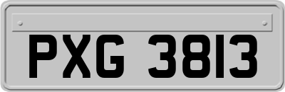 PXG3813