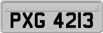 PXG4213