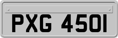 PXG4501