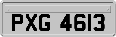 PXG4613