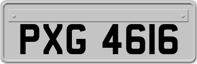 PXG4616