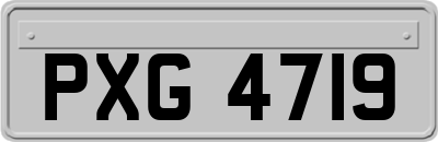 PXG4719