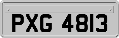 PXG4813